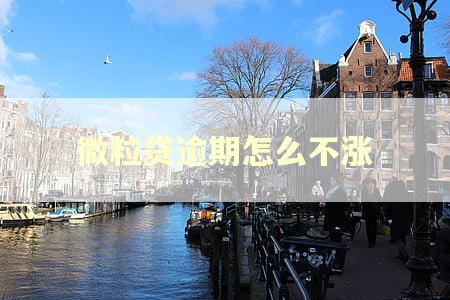 微粒贷逾期怎么不涨