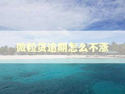 微粒贷逾期怎么不涨