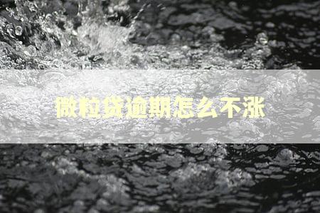 微粒贷逾期怎么不涨 微粒贷逾期怎么不涨