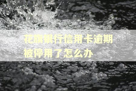花旗银行信用卡逾期被停用了怎么办