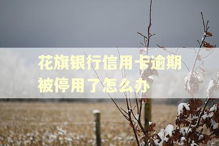 花旗银行信用卡逾期被停用了怎么办