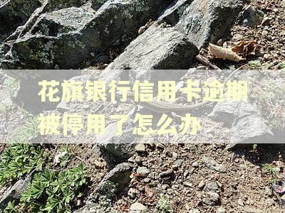 花旗银行信用卡逾期被停用了怎么办
