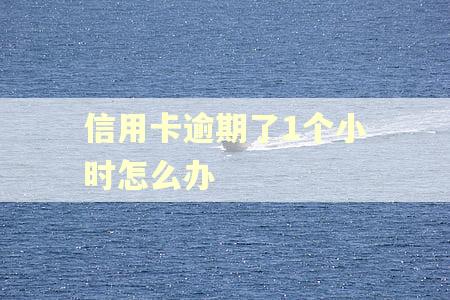 信用卡逾期了1个小时怎么办