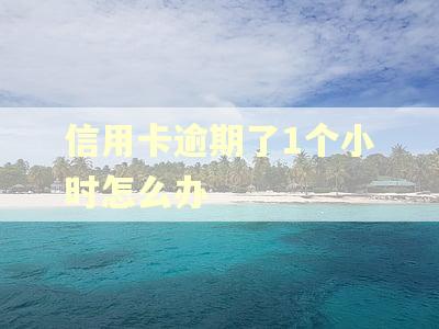 信用卡逾期了1个小时怎么办 信用卡逾期了1个小时怎么办