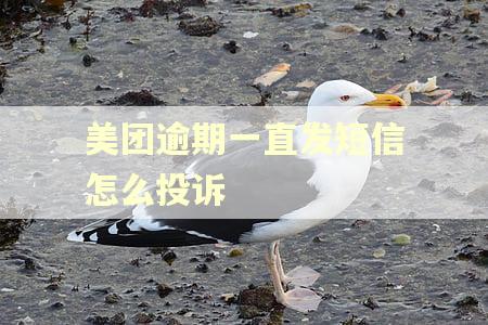 美团逾期一直发短信怎么投诉
