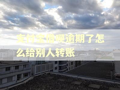 支付宝借呗逾期了怎么给别人转账