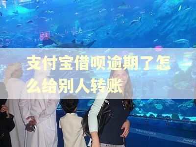 支付宝借呗逾期了怎么给别人转账 支付宝借呗逾期了怎么给别人转账