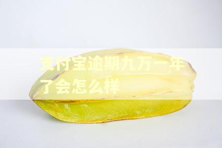 支付宝逾期九万一年了会怎么样