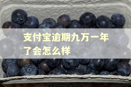 支付宝逾期九万一年了会怎么样