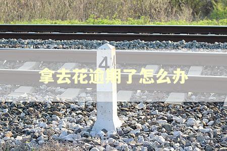 拿去花逾期了怎么办
