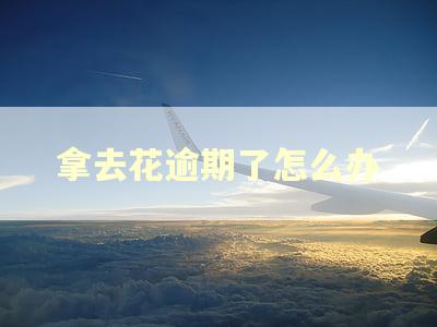 拿去花逾期了怎么办