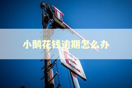 小鹅花钱逾期怎么办