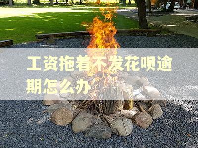 工资拖着不发花呗逾期怎么办