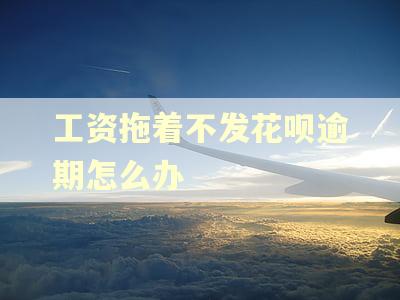 工资拖着不发花呗逾期怎么办