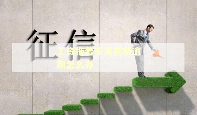 工资拖着不发花呗逾期怎么办