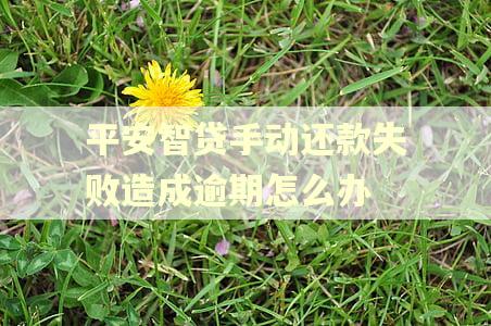 平安智贷手动还款失败造成逾期怎么办