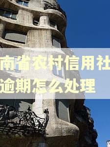 海南省农村信用社贷款逾期怎么处理