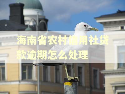 海南省农村信用社贷款逾期怎么处理