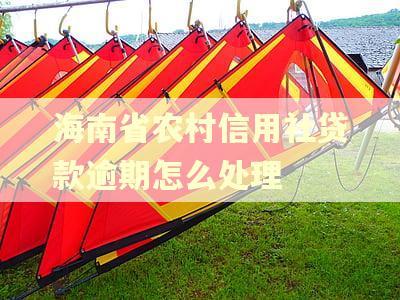 海南省农村信用社贷款逾期怎么处理