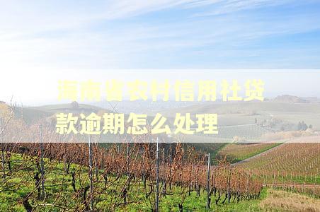 海南省农村信用社贷款逾期怎么处理 海南省农村信用社贷款逾期怎么处理