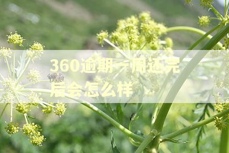 360逾期一周还完后会怎么样