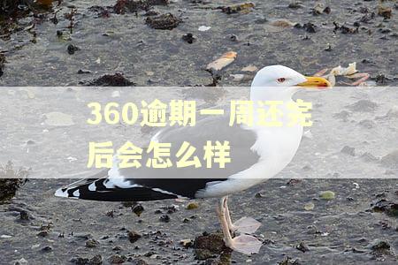 360逾期一周还完后会怎么样 360逾期一周还完后会怎么样