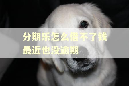 分期乐怎么借不了钱最近也没逾期