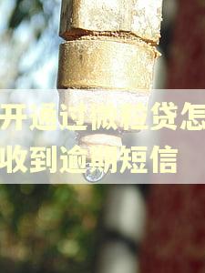 没开通过微粒贷怎么会收到逾期短信