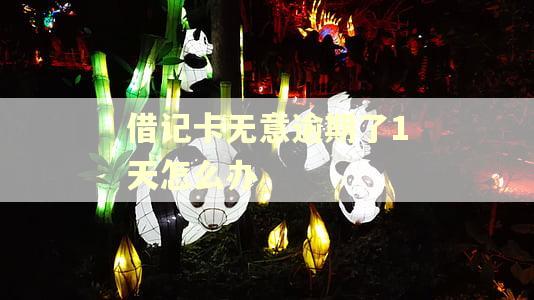借记卡无意逾期了1天怎么办
