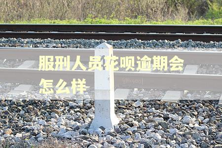 服刑人员花呗逾期会怎么样