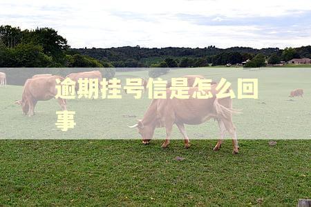 逾期挂号信是怎么回事