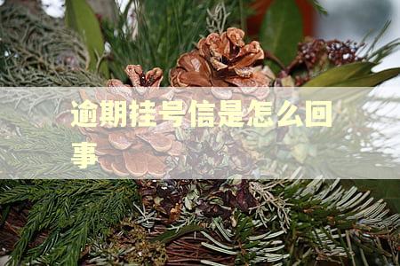 逾期挂号信是怎么回事