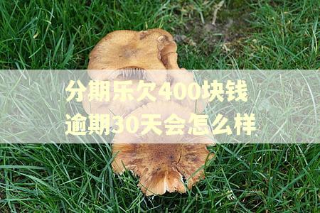 分期乐欠400块钱逾期30天会怎么样