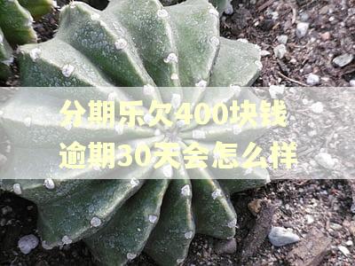 分期乐欠400块钱逾期30天会怎么样