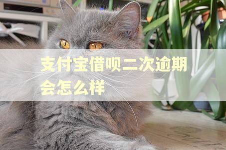 支付宝借呗二次逾期会怎么样