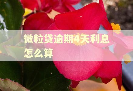 微粒贷逾期4天利息怎么算