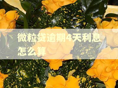 微粒贷逾期4天利息怎么算