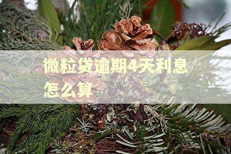 微粒贷逾期4天利息怎么算