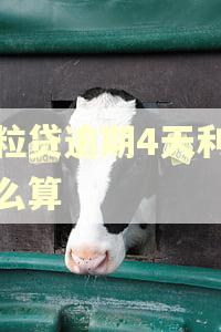 微粒贷逾期4天利息怎么算