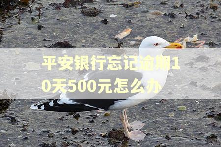 平安银行忘记逾期10天500元怎么办