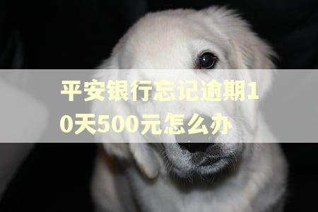 平安银行忘记逾期10天500元怎么办 平安银行忘记逾期10天500元怎么办