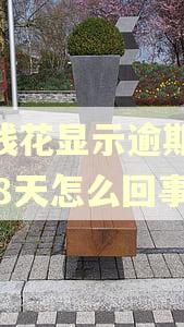 有钱花显示逾期19368天怎么回事