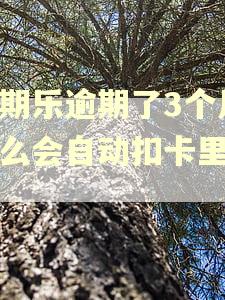 分期乐逾期了3个月怎么会自动扣卡里的钱