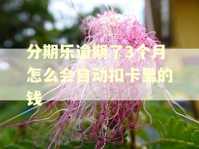 分期乐逾期了3个月怎么会自动扣卡里的钱 分期乐逾期了3个月怎么会自动扣卡里的钱