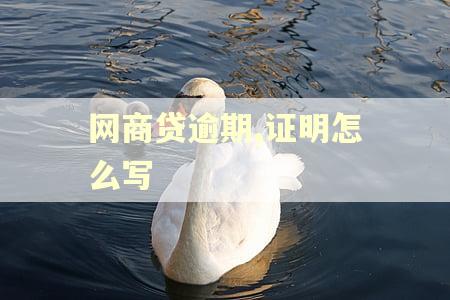 网商贷逾期,证明怎么写