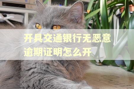 开具交通银行无恶意逾期证明怎么开