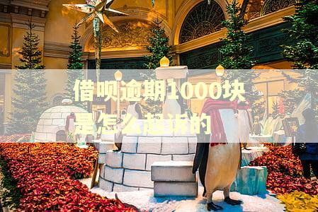 借呗逾期1000块是怎么起诉的