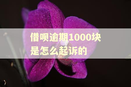 借呗逾期1000块是怎么起诉的