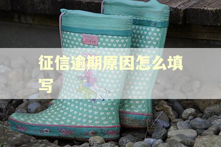 征信逾期原因怎么填写