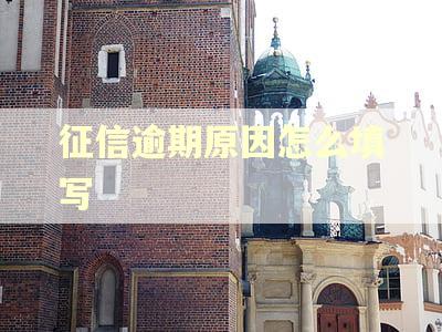 征信逾期原因怎么填写 征信逾期原因怎么填写